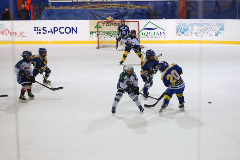 DSC_1255.jpg
