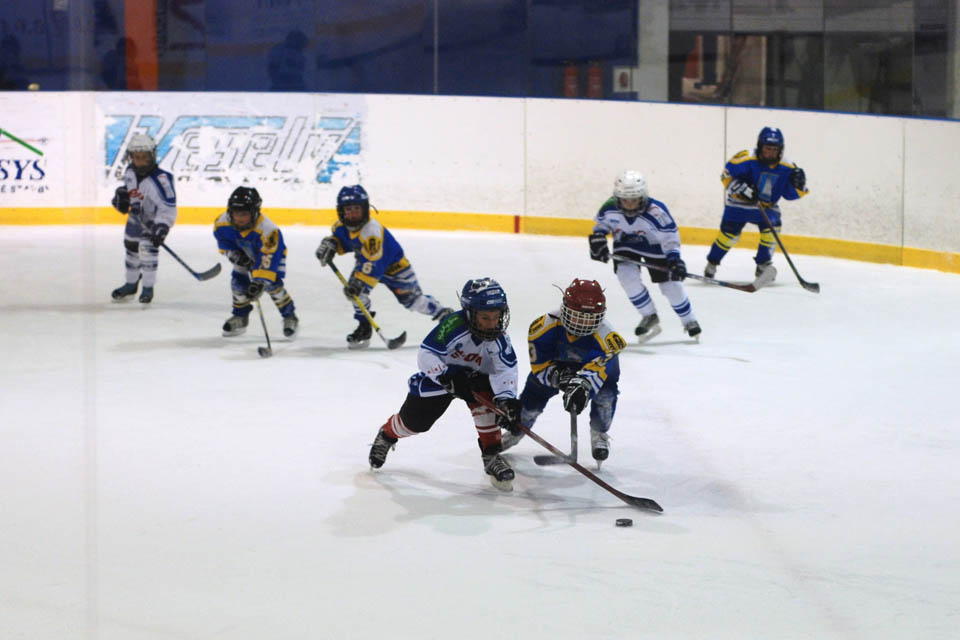 DSC_1264.jpg