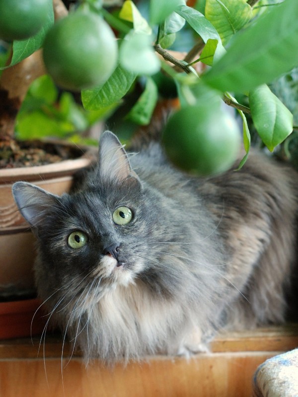 DSC_1244.JPG
