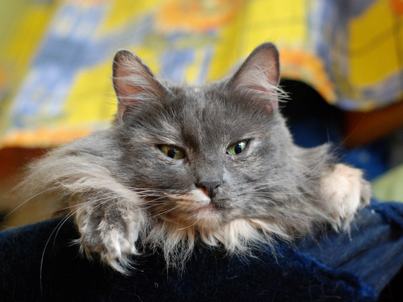 DSC_1316.JPG