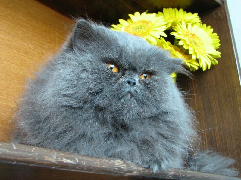 20070915_4557.JPG
