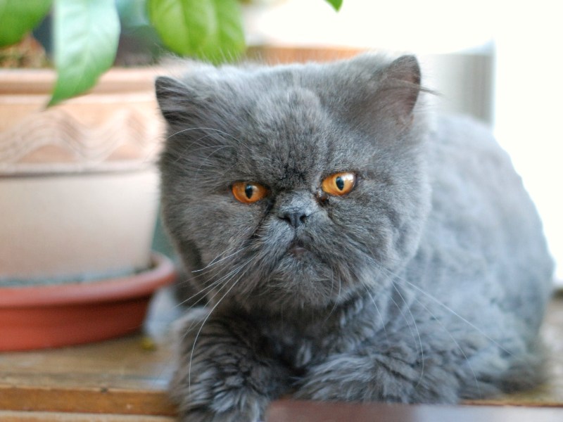 DSC_0359.JPG