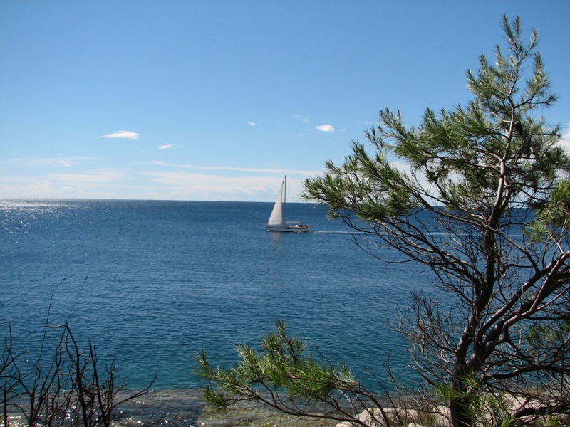 Primoštěn 15.8.2005