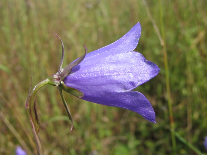 6.7.2005
