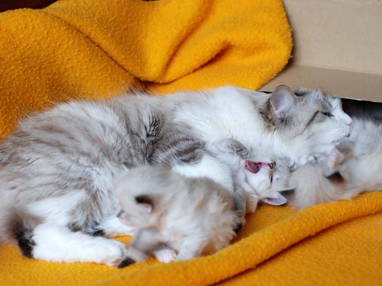 DSC_1504.jpg