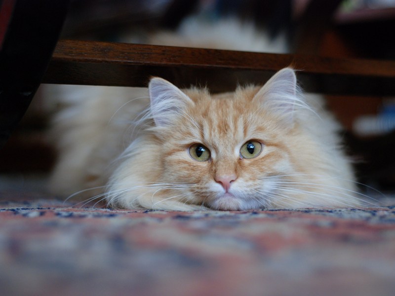 DSC_0789.JPG
