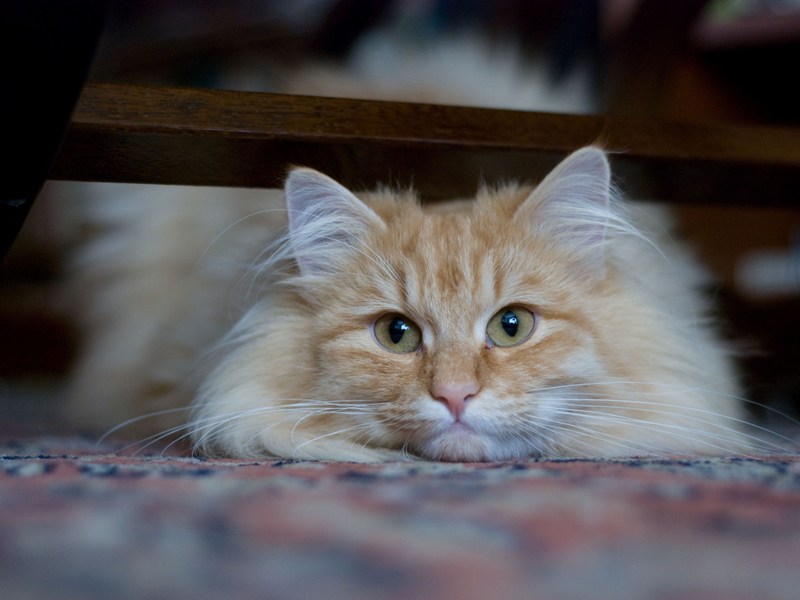 DSC_0788.jpg