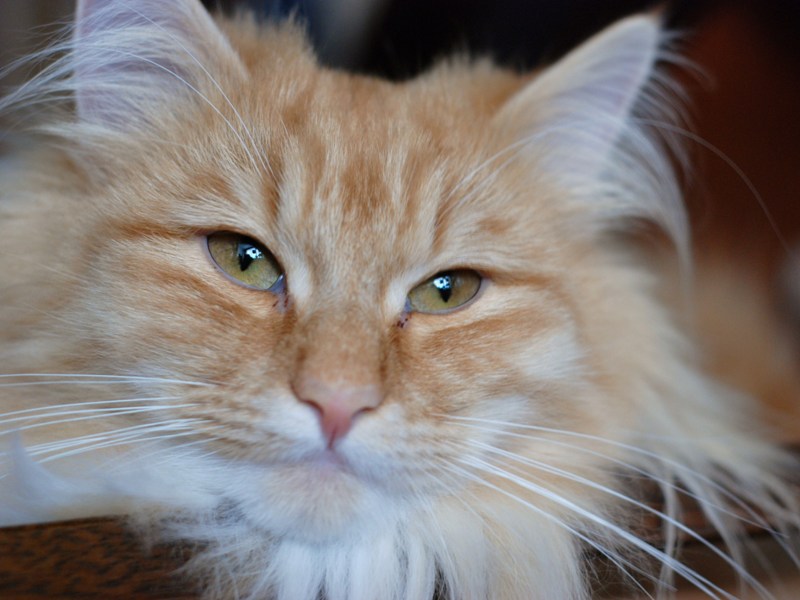 DSC_0767.JPG