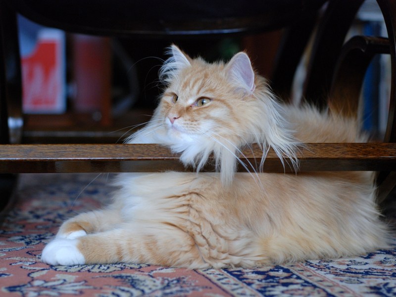 DSC_0764.JPG