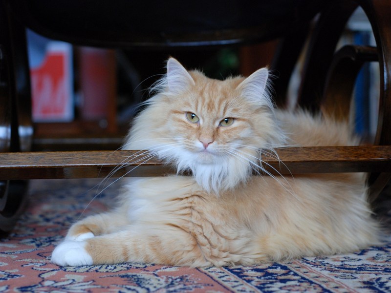 DSC_0758.JPG