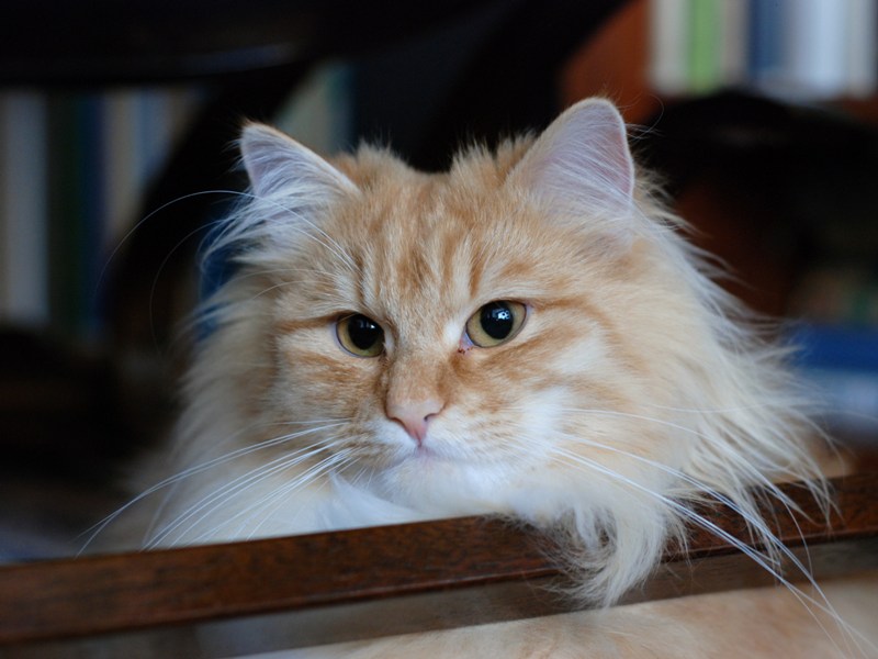 DSC_0757.JPG