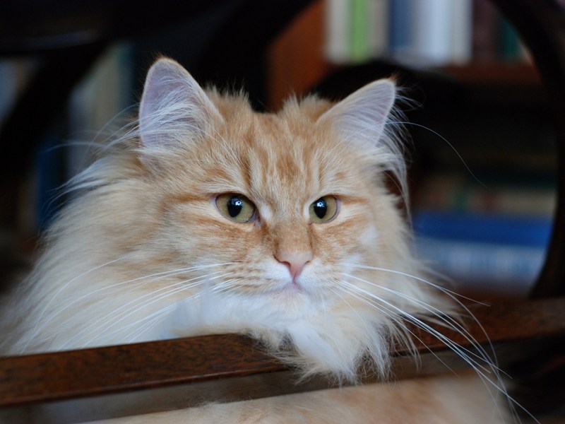 DSC_0756.JPG