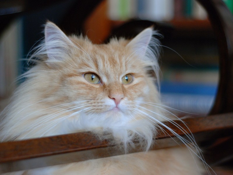 DSC_0752.JPG