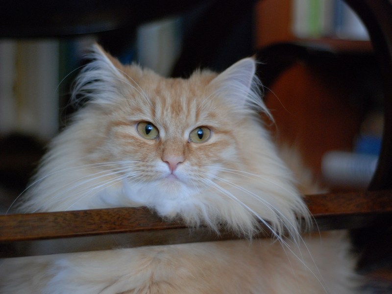 DSC_0743.JPG
