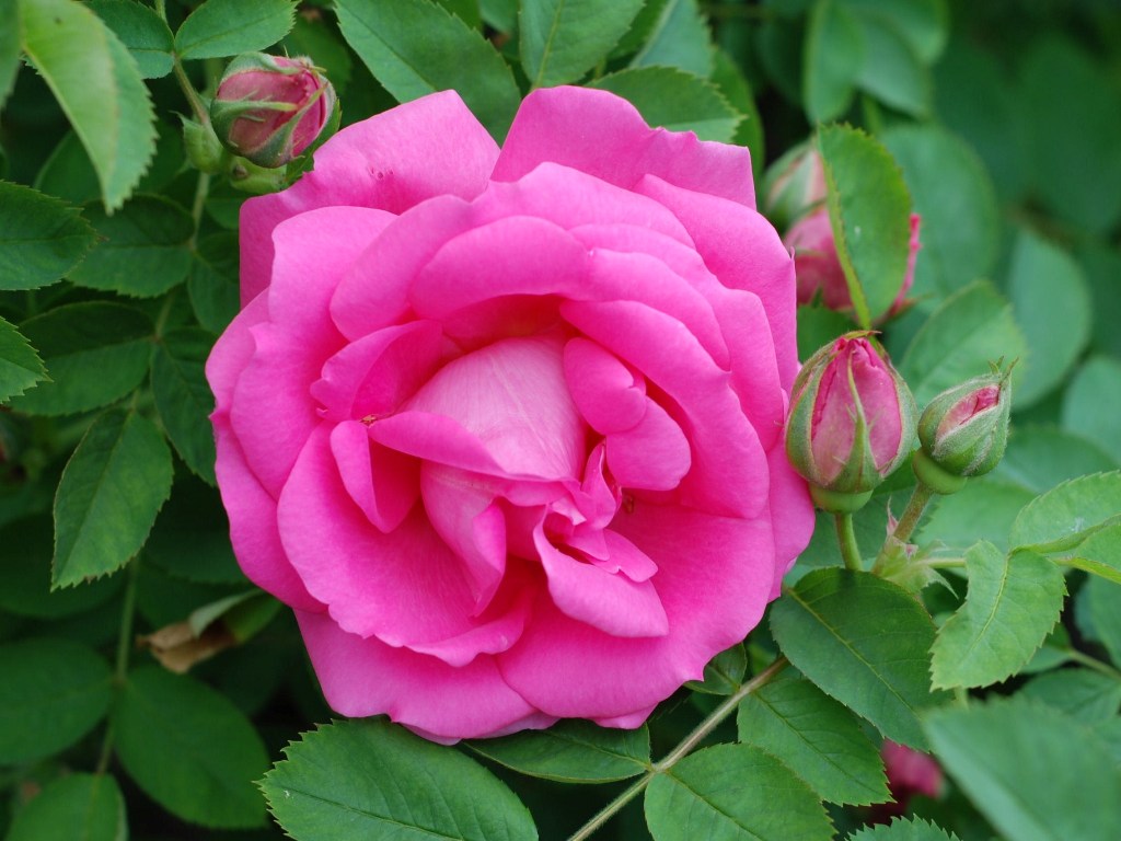 xDSC_0169.jpg